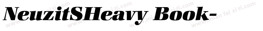 NeuzitSHeavy Book字体转换